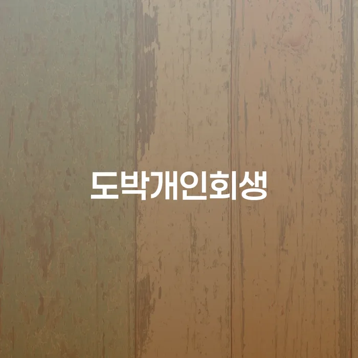 개인회생부채증명서 빚 합법적인 빠른방법 미리알기