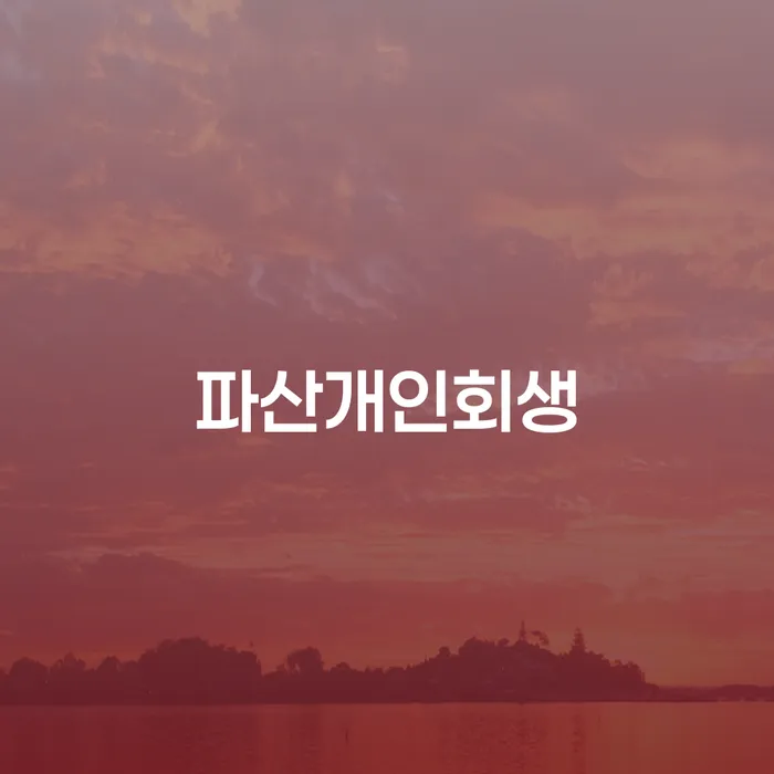 신용회복지원제도 개인회생으로 해결 과정을