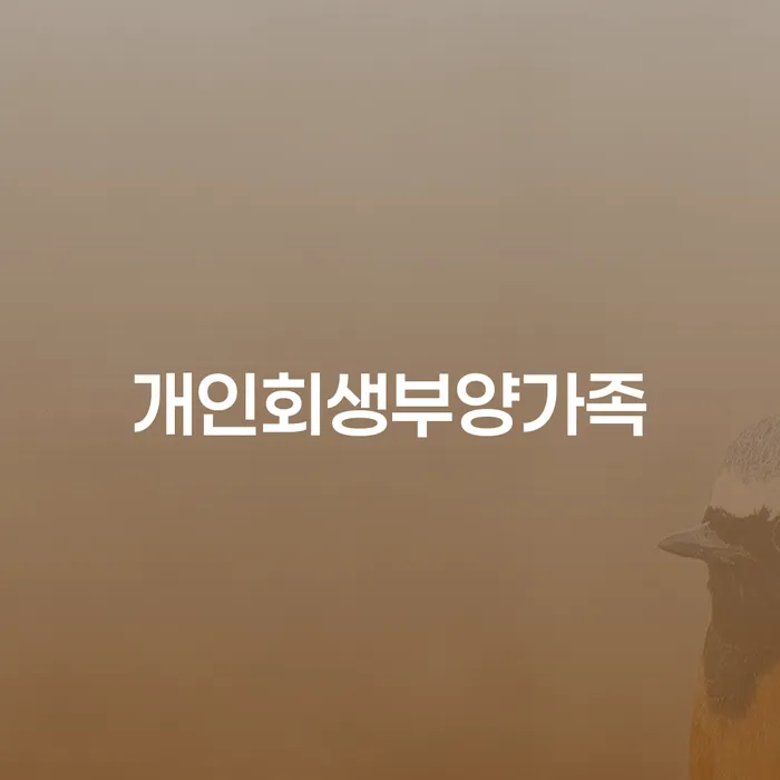 개인회생 수임료 싸고 대출 받은 돈채무조정 알아야 하는 꿀팁