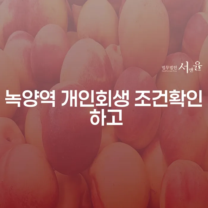 녹양역 개인회생 조건확인 하고