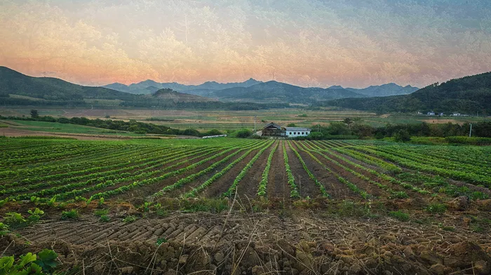 변제금 납부 방법