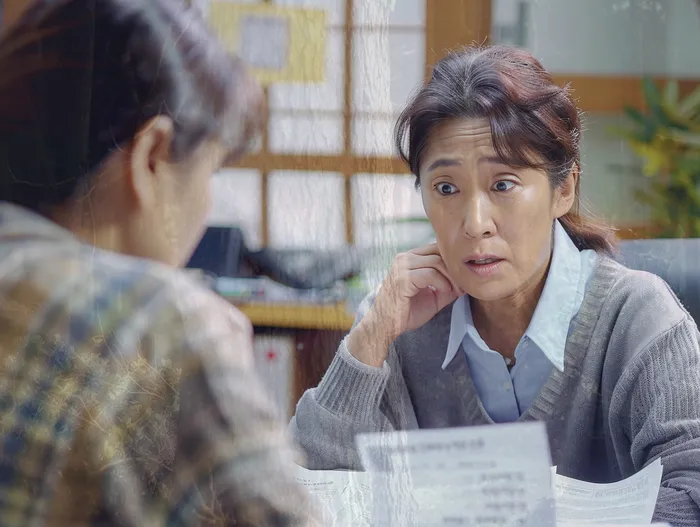 장안2동 개인회생 정보