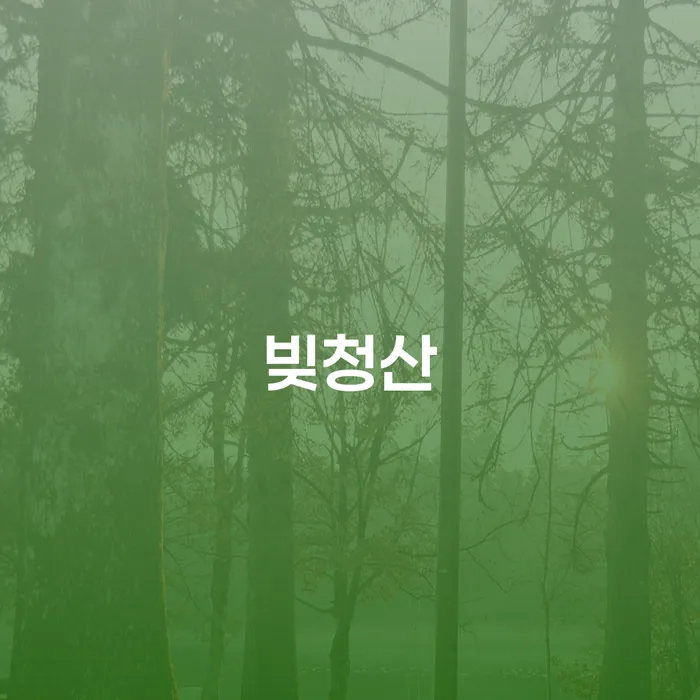 41살 직장인 9160만원 채무 청산, 개인회생과 파산 중 어떤 선택이 옳을까요?